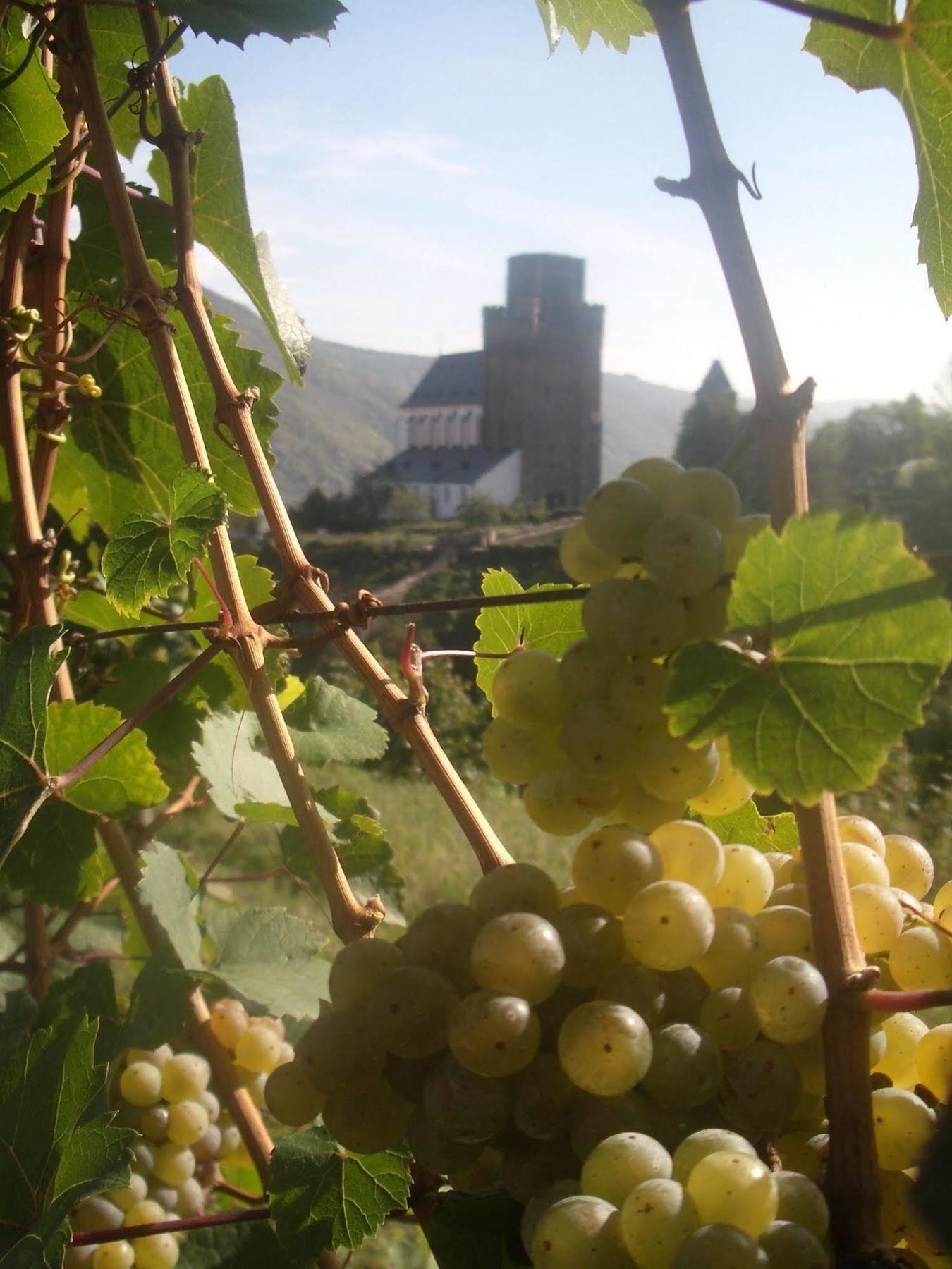 Gasthaus Weingut Stahl Обервезель Екстер'єр фото