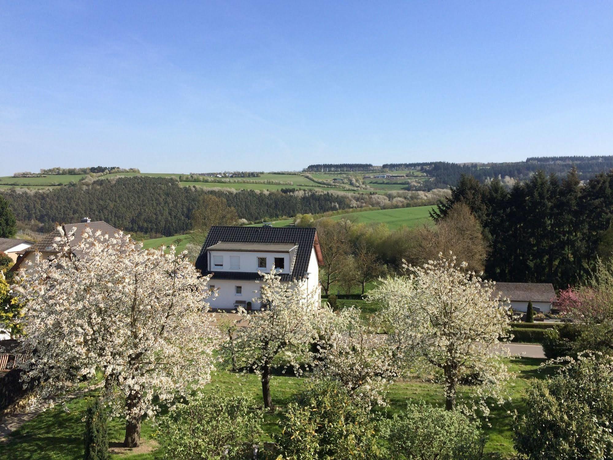 Gasthaus Weingut Stahl Обервезель Екстер'єр фото